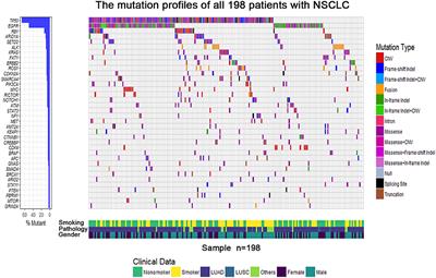 Tumor Mutation Burden Correlates With Efficacy of Chemotherapy/Targeted Therapy in Advanced Non–Small Cell Lung Cancer